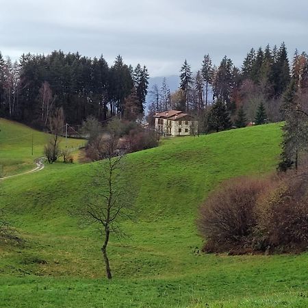 Апартаменты Green House Mountain Lake Iseo Hospitality Боссико Экстерьер фото