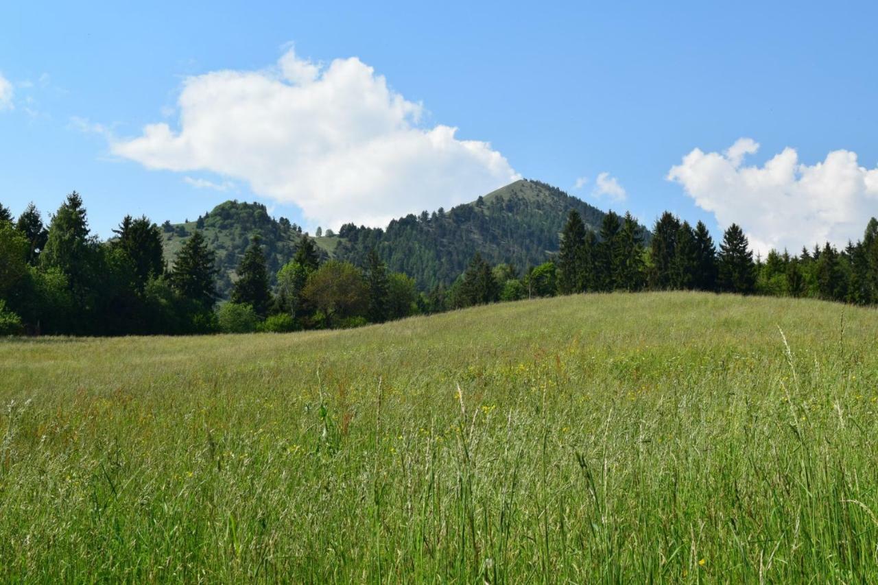 Апартаменты Green House Mountain Lake Iseo Hospitality Боссико Экстерьер фото