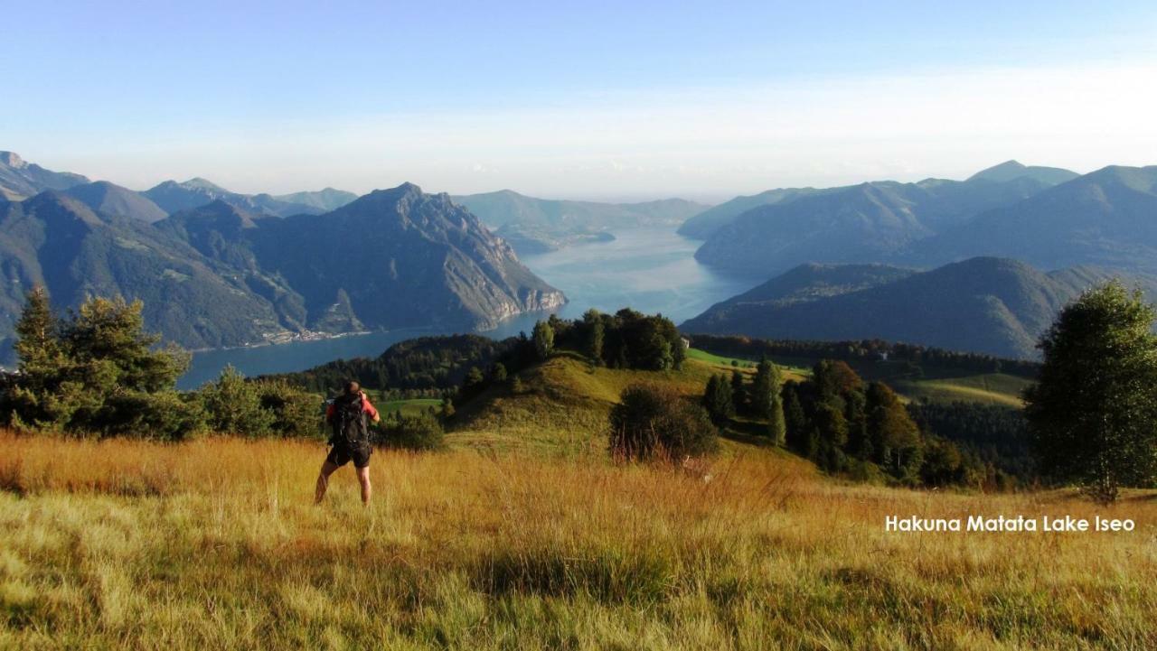Апартаменты Green House Mountain Lake Iseo Hospitality Боссико Экстерьер фото